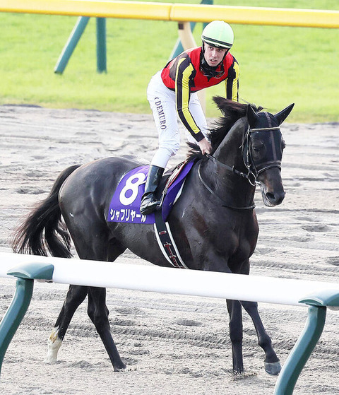 【天皇賞・秋は叩きで5着】シャフリヤール　次走はジャパンC