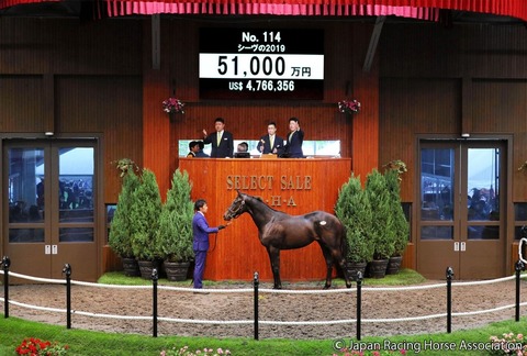 20200713-00000075-dal-000-13-view