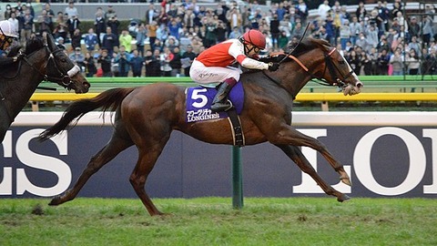 600px-Suave_Richard_Japan_Cup_2019(IMG1)