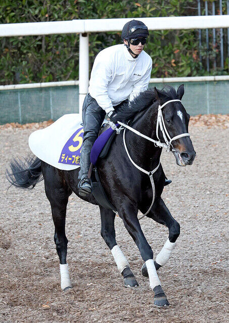 【ゴールドシップ以来の3連覇なるか】ディープボンド　和田竜二と再コンビで阪神大賞典へ