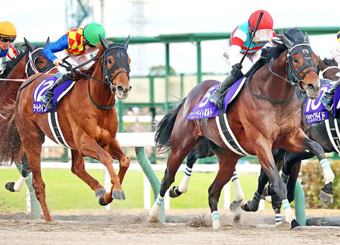 【断然1番人気を馬券外に飛ばすも】松山弘平　全然叩かれてない