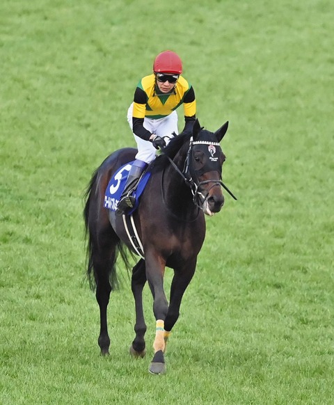 2d7d7809fb861e9fb1d4aafcf0087e0e_1