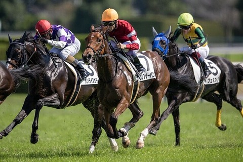【すでに大馬主の貫禄】サイバー藤田晋氏　2歳馬5頭目の勝ち上がり