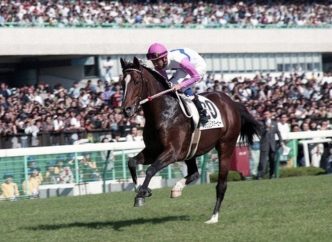 3938e_929_spnldpc-20210628-0177-001-p-0