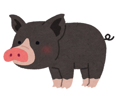 animal_kurobuta_pig