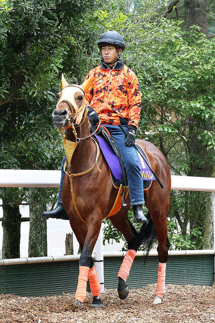 4311d_60_617e62b3_c8290f57