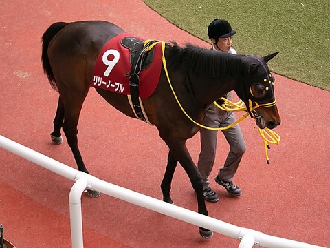 550px-Lily_Noble(JPN)_IMG_9528-1_20180303