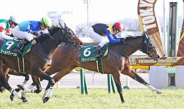 やはり意味が無かった 金子オーナー 俺の馬にシャドーロール着けるな 週末は落ち武者