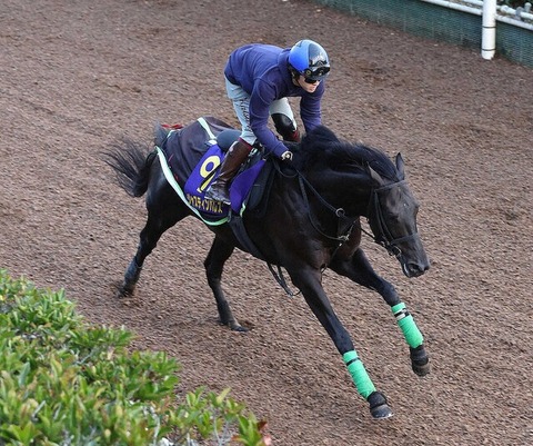 【鮫島は降ろされる】菊花賞3着ジャスティンパレス　マーカンドで有馬記念へ