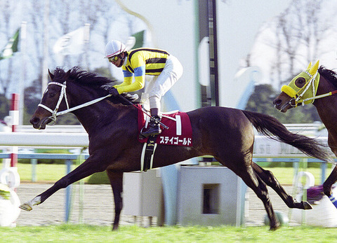 種牡馬としては も戦歴は もしかしてステイゴールドってもの凄く強かったの 競速