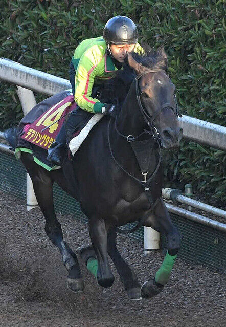 【3冠コンビが解消】デアリングタクト　松山からマーカンドに乗り替わりジャパンCへ