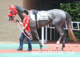 トレイル 怪物 コン 【大阪杯展望】コントレイルＶＳグランアレグリア注目２強対決に５戦無敗の惑星馬・レイパパレが割って入るか!?（中日スポーツ）