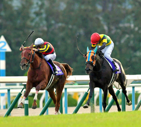 ded18_50_714ff49b_3dca474d