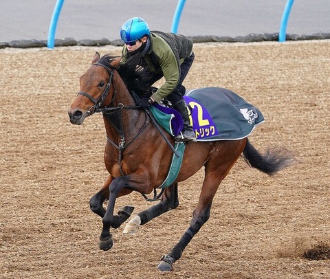 【元・天才のG1初勝利なるか】ついに三浦くんにごめんなさいする時が来たな