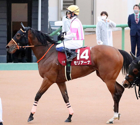 【悲報】武藤雅さん　横山典弘にモリアーナ強奪される