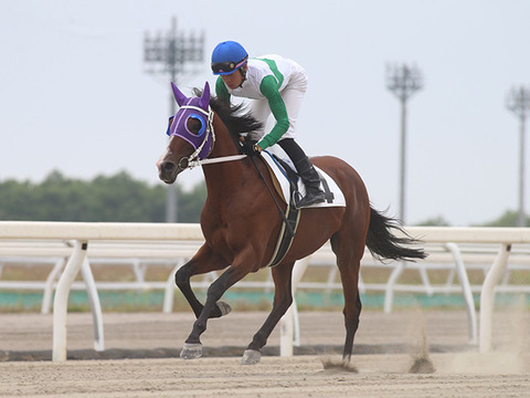 04eab_1769_2114ce34_8caf3993