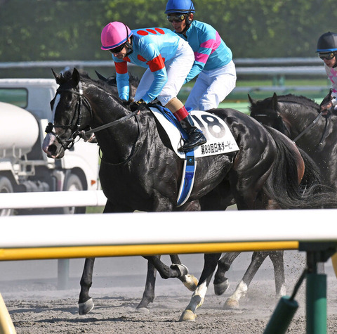 69a42_50_3792a381_78859586