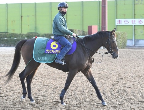 3599c_50_3238eac0_357fcfb2