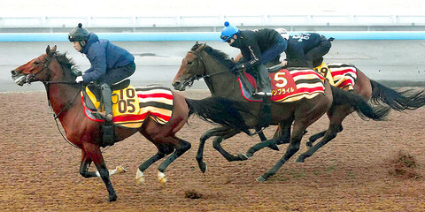 【阪神ジュベナイルF】ウンブライル　横山武史「かなり衝撃を受けた。色々強い馬に乗せてもらってるがその中でもトップクラス」