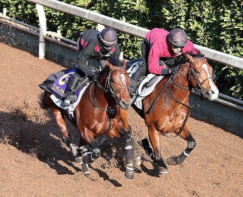 0bd83_929_024356fd_8f2f33a6