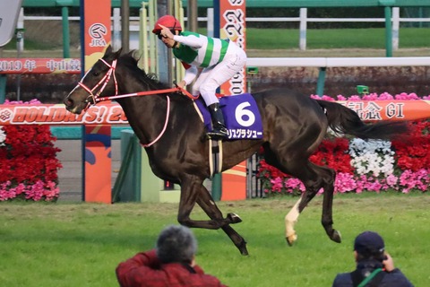 【一生に一度は行ってみたい】そうだ、有馬記念を観に中山競馬場に行こう