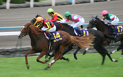 400px-72nd_Kikka-sho_20111023