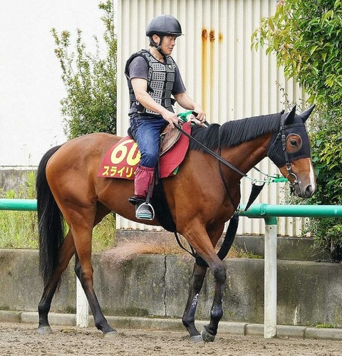 2c853_929_spnldpc-20210521-0027-004-p-0