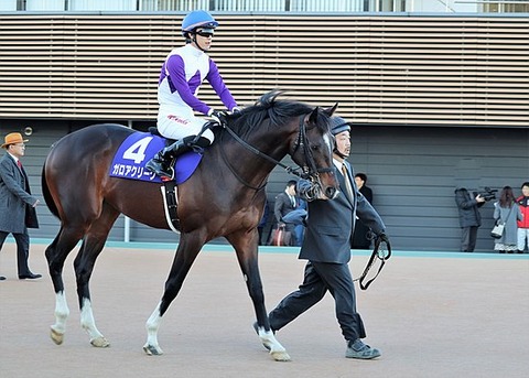 550px-Galore_Creek_Hopeful_stakes_2019