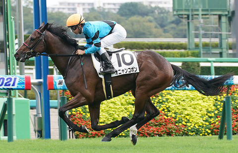 【悲報】みんなの愛馬オニャンコポンさん　東京新聞杯（G3）除外