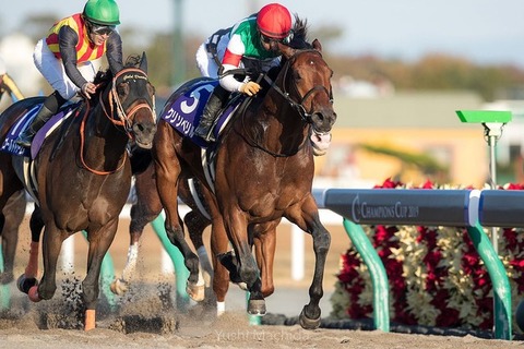 807a7_1676_f2500428_c0fd703c