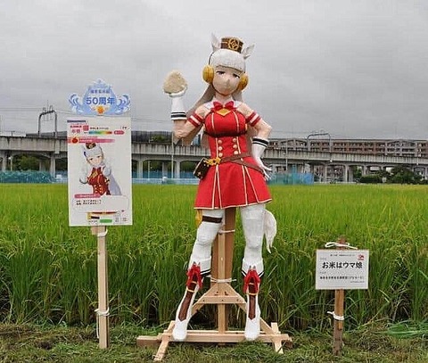 c0c3b_80_9c01ab08_8b442fcf