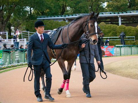 Deirdre_(JPN)_IMG_4907-1_20170212