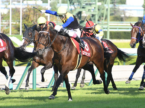 6dc6c_1769_9665ef53_8ca41eba