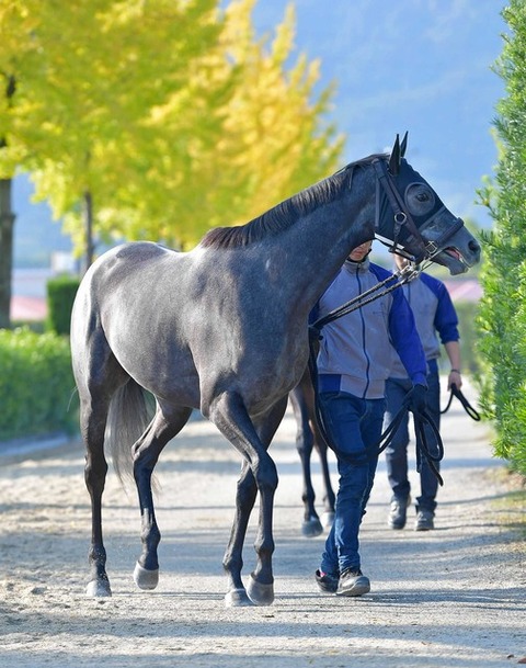 04bc7_50_99c3b8d7_a0569db3