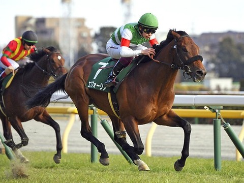 7d8fe_1112_d81deb2ba9f81dde0b16a80885e4cdb7