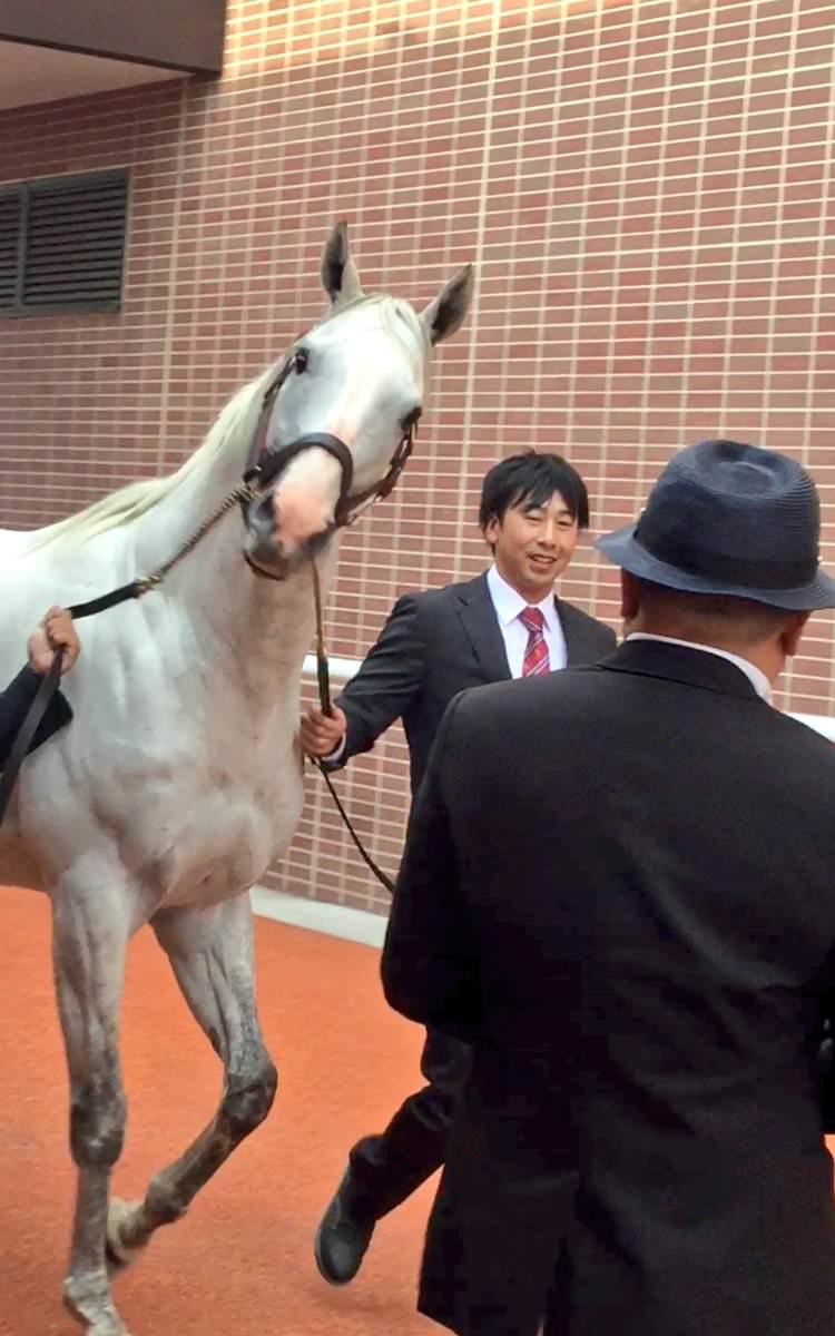 朗報 ゴールドシップさん ついに二足歩行習得ｗｗｗｗｗ 週末は落ち武者