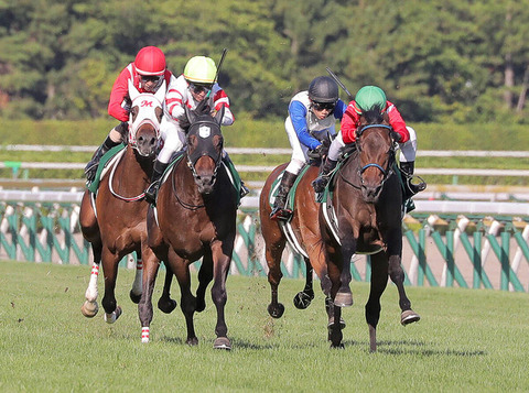 【空き巣の新潟で大暴れ】戸崎圭太　今週8勝して重賞まで勝ってしまうｗｗｗｗｗ