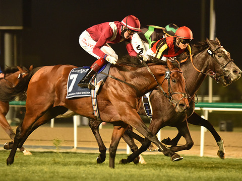 53409_1769_01f1c9c0_571d31f6