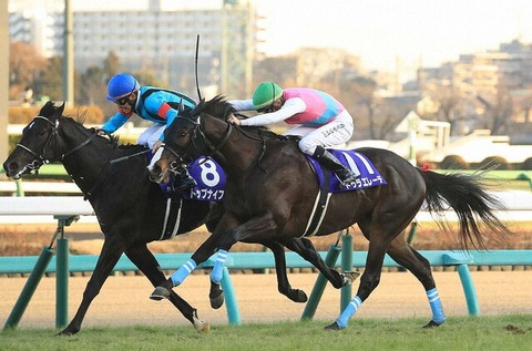 【今年だけでG1を6勝】ドゥラメンテの死は日本競馬界の損失