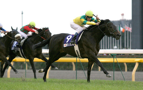 【秋古馬3冠達成の名馬】ゼンノロブロイ　22歳で老衰死