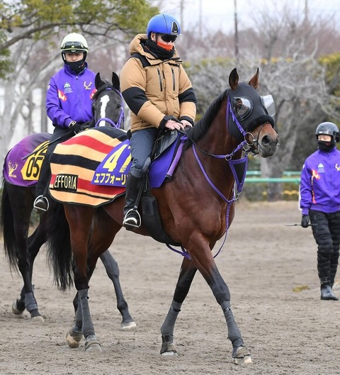 【体重増加は成長か】エフフォーリア　異例の強め調整　鹿戸師「雰囲気は良かったです」