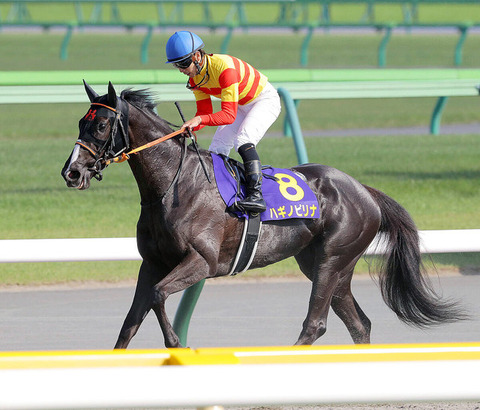 1809d_60_7ef0e0c0_02d80da6