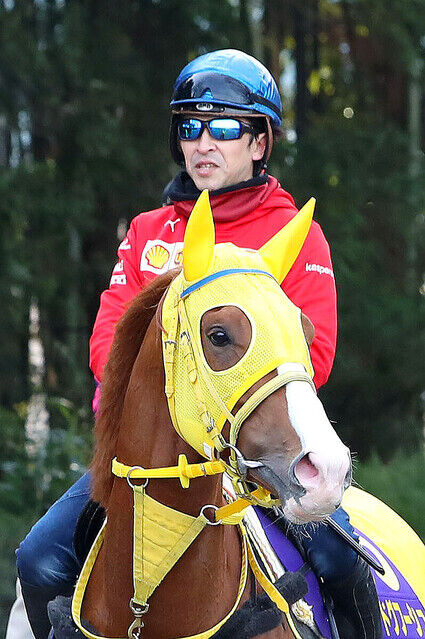 【ラストイヤーは自己最高の2着】福永祐一騎手　結局一度も有馬記念を勝てずに引退