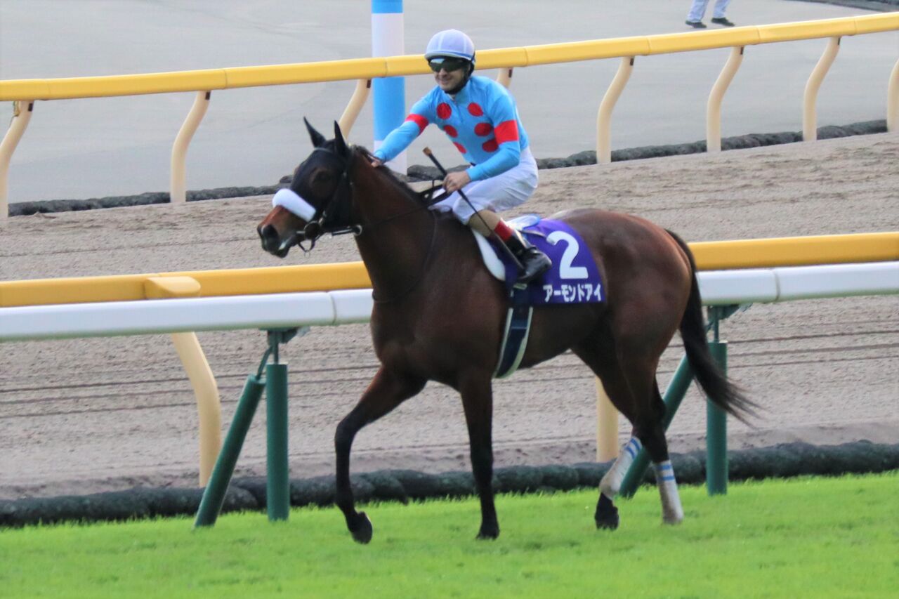 週末は落ち武者 -競馬まとめ-【ジャパンC参戦か!?】アーモンドアイ 注目の今後は9日以降決定へコメントする