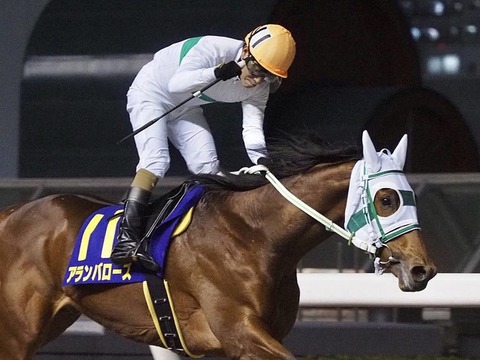 cd2cf_1676_2e5c9cb4_b2e69782