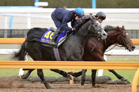 調教師が弱気 有馬記念 クロノジェネシス 斉藤崇師 いい時に比べると物足りなさ残る 競速