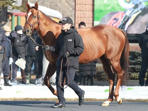 【おまいうｗｗｗｗ】堀調教師「サリオスはスピードが凄かったが素直で操縦性高いので距離も持った」