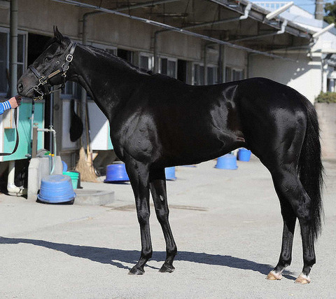 a5b7d_929_spnldpc-20200331-0070-005-p-0