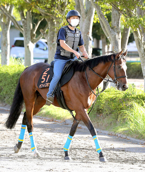【トライアルの形骸化】オニャンコポン、ラーグルフ、ローシャムパークが一斉に菊花賞の回避を発表　菊花賞スカスカw