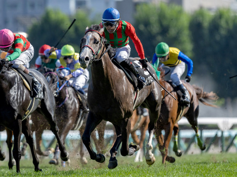 【立て続けに地方馬でJRA競走勝利】丹内やばすぎない？